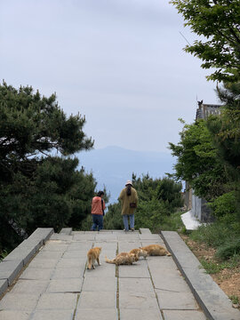 河南登封嵩山中岳庙名胜