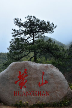 黄山旅游黄山风光黄山美景