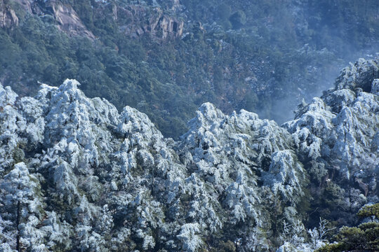 黄山旅游黄山风光黄山美景