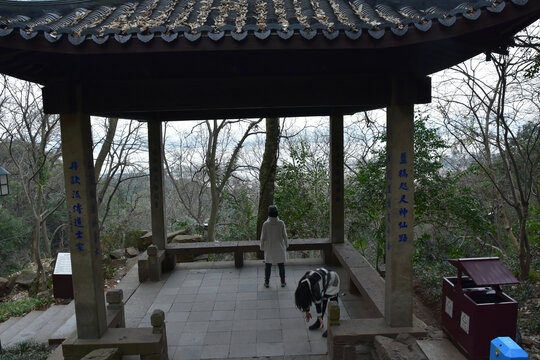 杭州西湖雷锋塔断桥灵隐寺