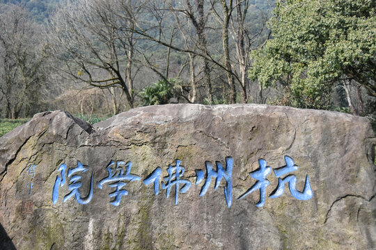 杭州西湖雷锋塔断桥灵隐寺