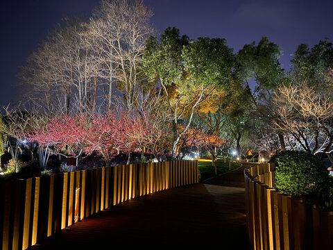 城市公园夜景