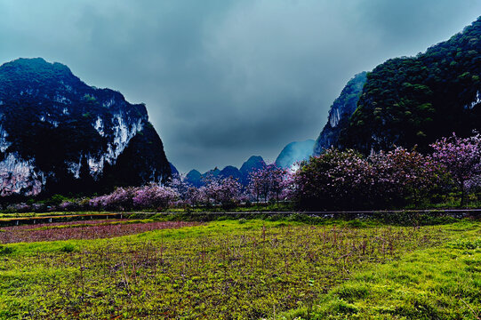 广西旧州风光