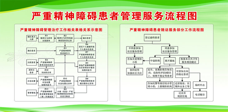 严重精神障碍管理