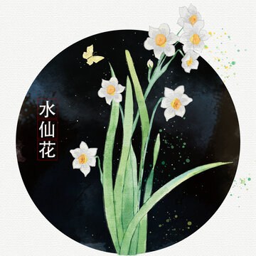 手绘水彩水仙花插画