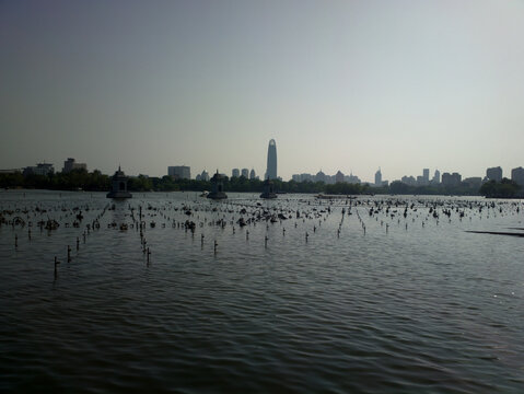 大明湖风景