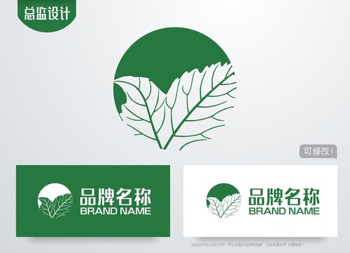 叶脉logo绿叶