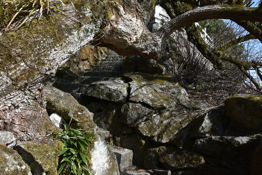 南岳衡山衡山风光湖南风景区