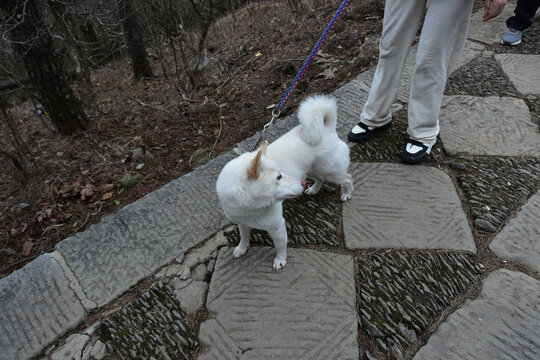 庐山风光庐山风景名胜区