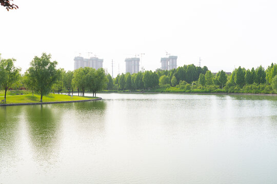 公园湖泊绿树