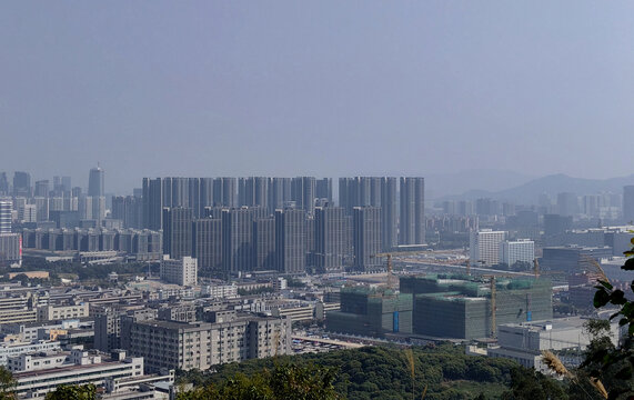 光明大雁山俯视