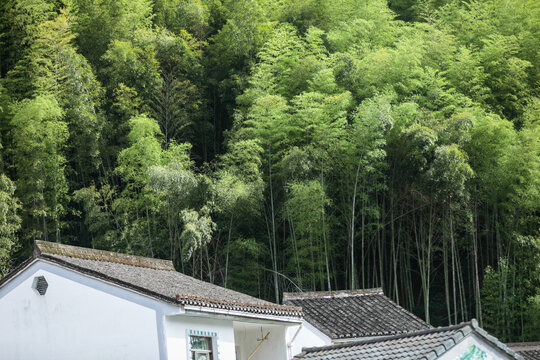 宁波城杨村建筑特写景观