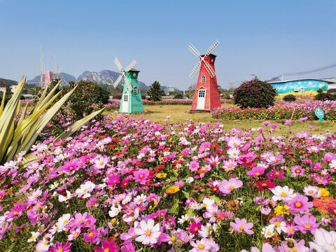 阳春风景