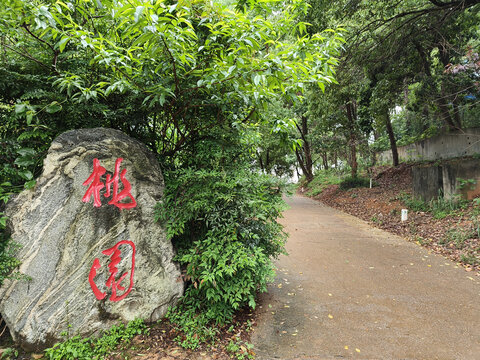湖南省植物园桃园