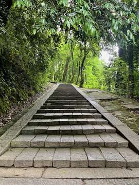 岳麓山登山