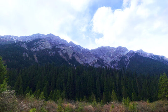 森林雪山