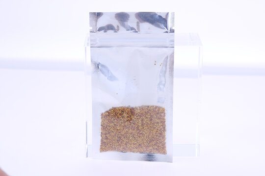 粗粮种子