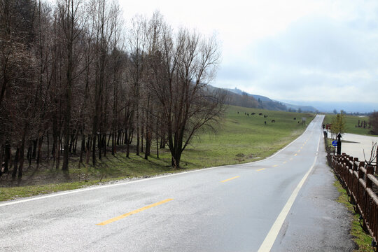 道路