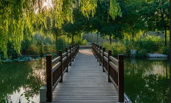 湿地公园的小桥