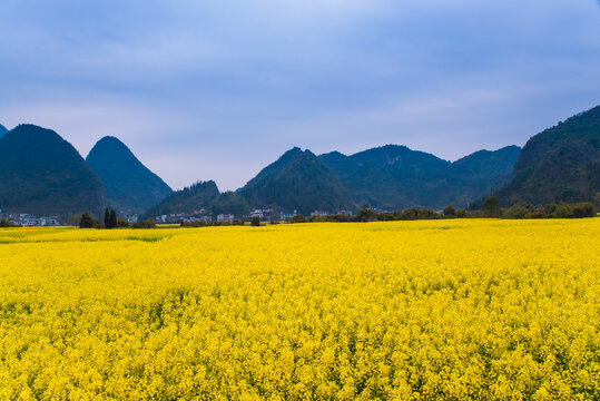 山村风景