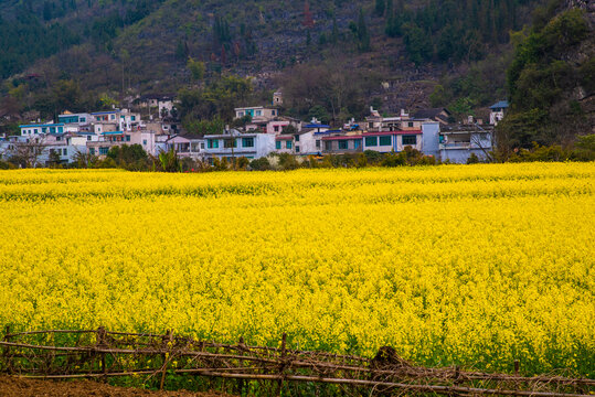 山村风景