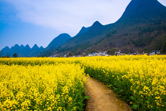 山村风景