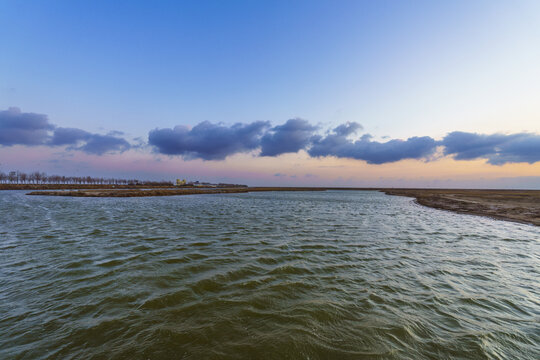 黄河口湿地晨景