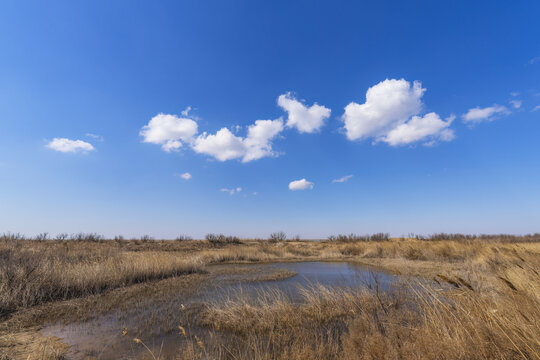 黄河口湿地蓝天白云风光
