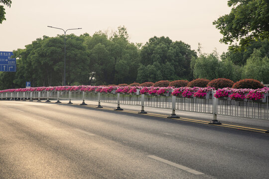 市政鲜花隔离带