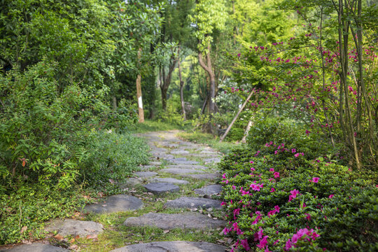 鲜花路径