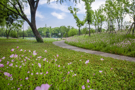 鲜花路径