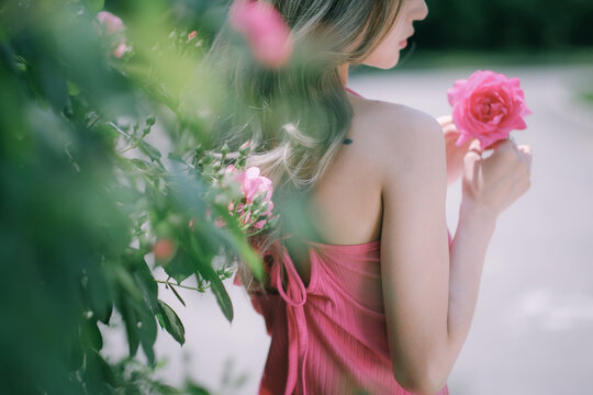 拿着粉色蔷薇花的女人