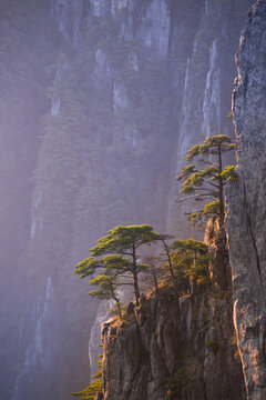 黄山群山风景