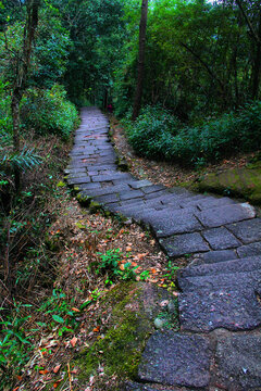 武夷山石板路