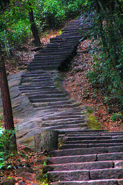 武夷山石台阶