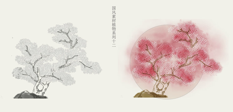 国画风植物