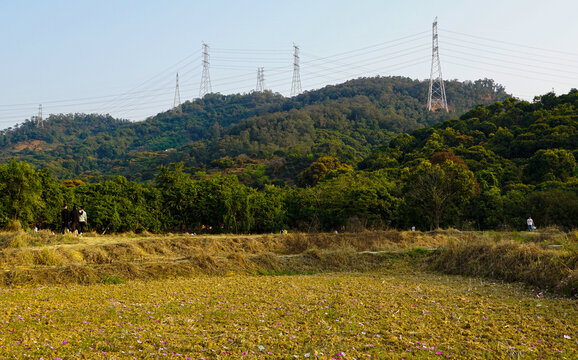 山上铁塔