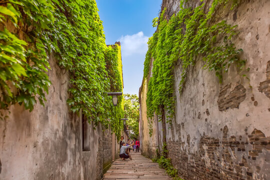 乌镇西栅景区