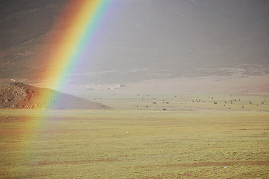 草原上清晰美丽的彩虹