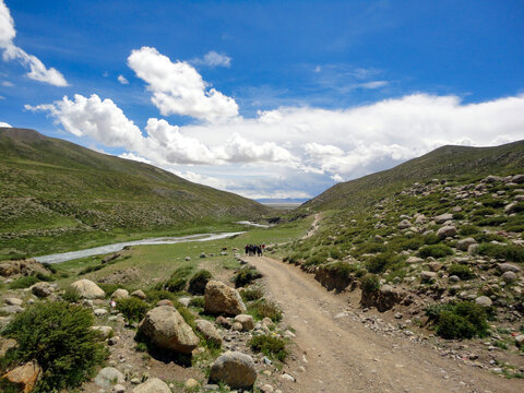 山上的溪流和土路