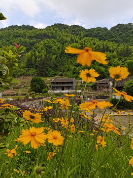 山花远望有人家