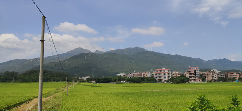 广东粤西乡村景色