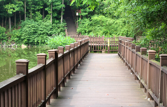 公园水上木桥