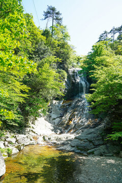 绿水青山