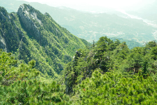 绿水青山