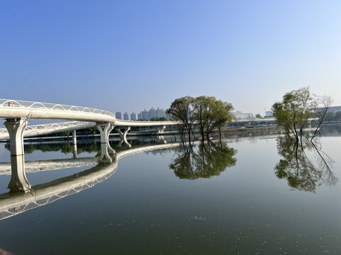 湿地公园