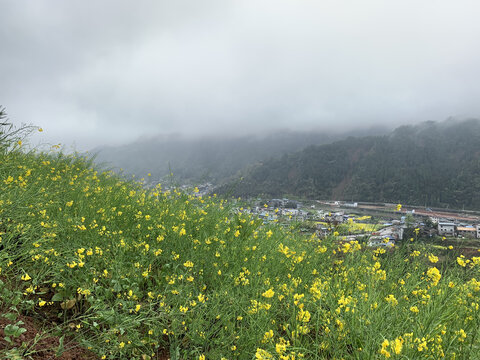 湖南湘西凤凰古城风光