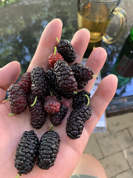 新疆吐鲁番葡萄沟交河故城