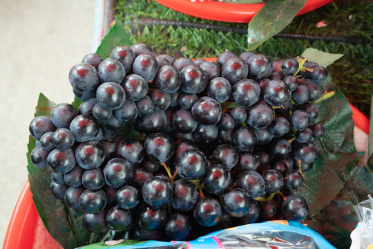 葡萄水果果实