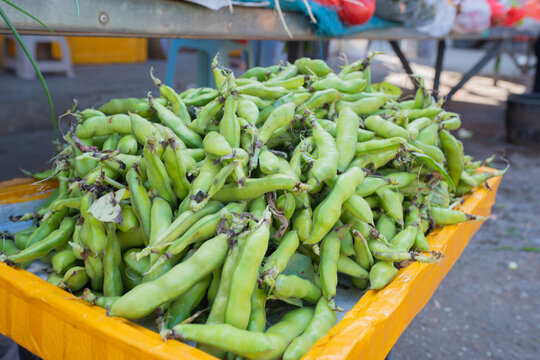 菜市场蔬菜